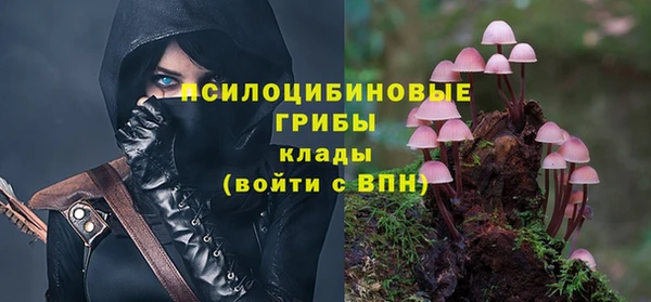 мескалин Вяземский