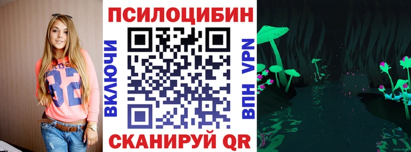 Псилоцибиновые грибы Psilocybe  Ишим 